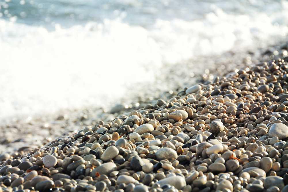 Coastal Walks