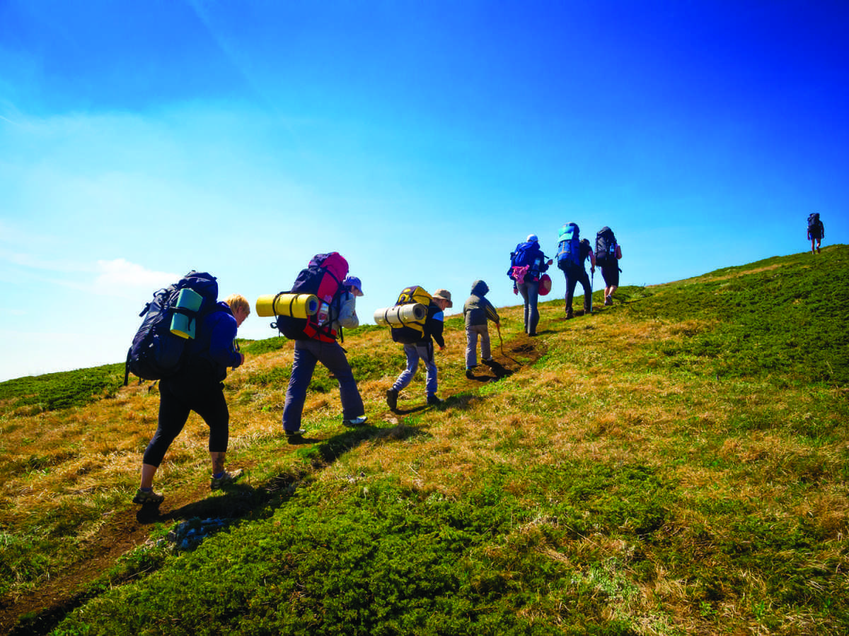 Things to do in Bray
