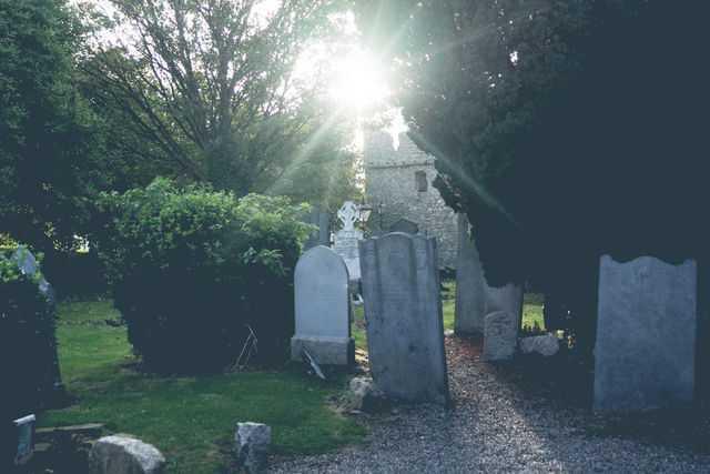 Dalkey Castle & Heritage Centre