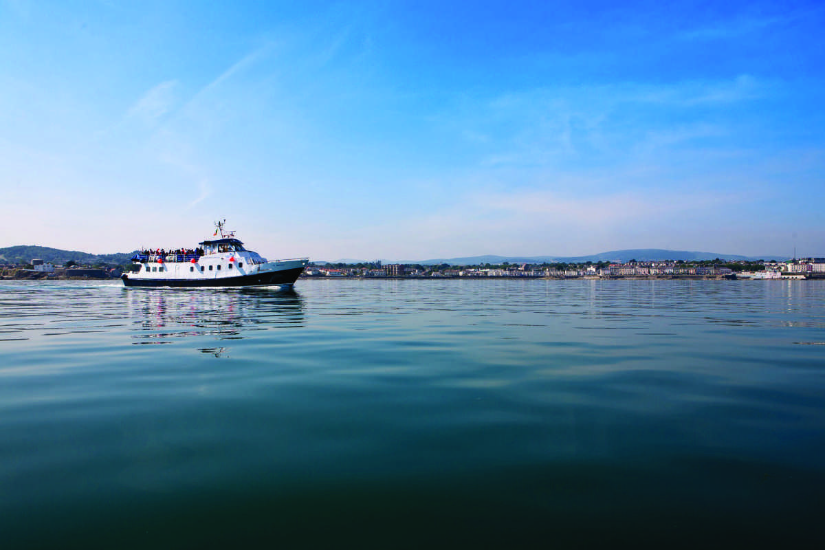 The Perfect Way to Experience Dublin Bay