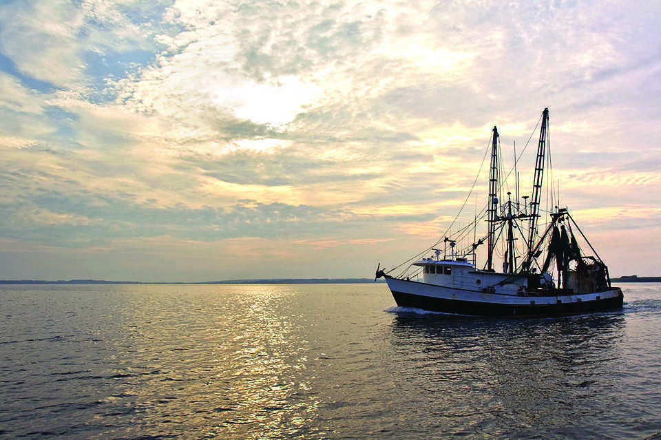 Skerries Sea Tours