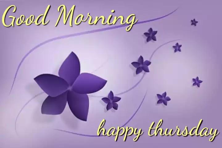 Note from Ms Rainsford- re. Thursday's work (linked below) Note from Ms Rainsford- re. Thursday's work (linked below)