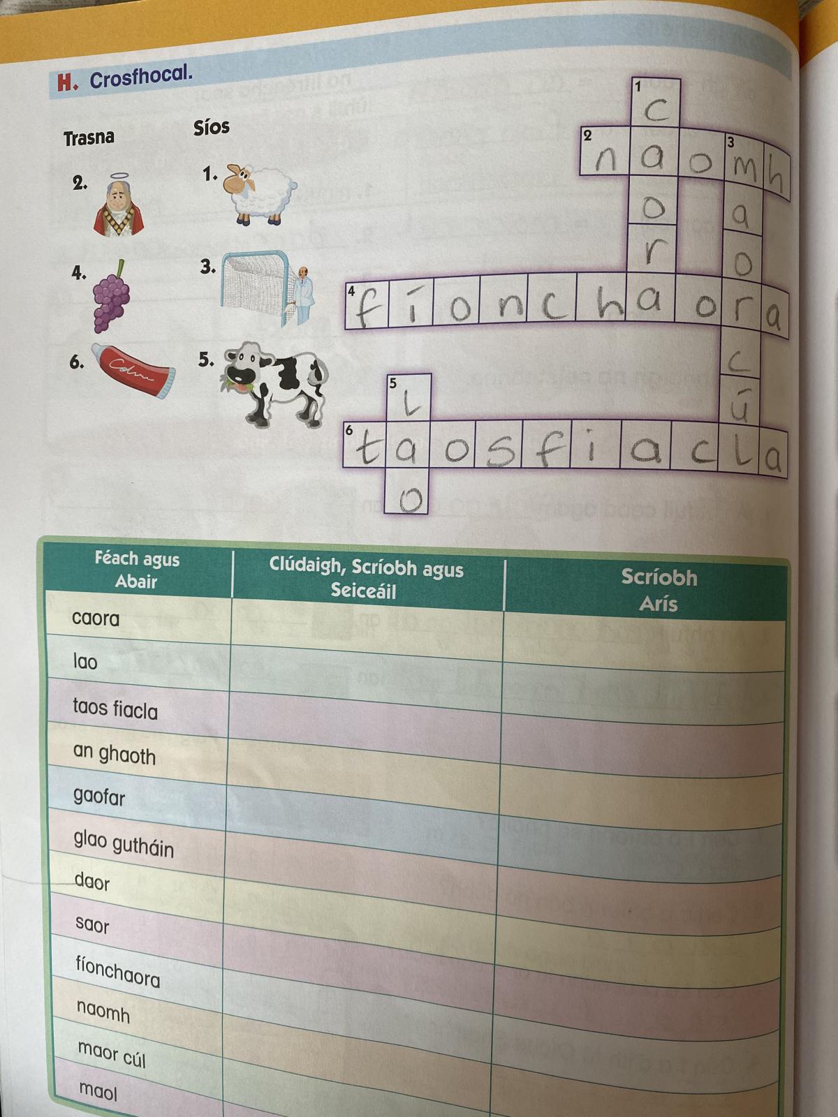 Work for Friday 12th of February Work for Friday 12th of February