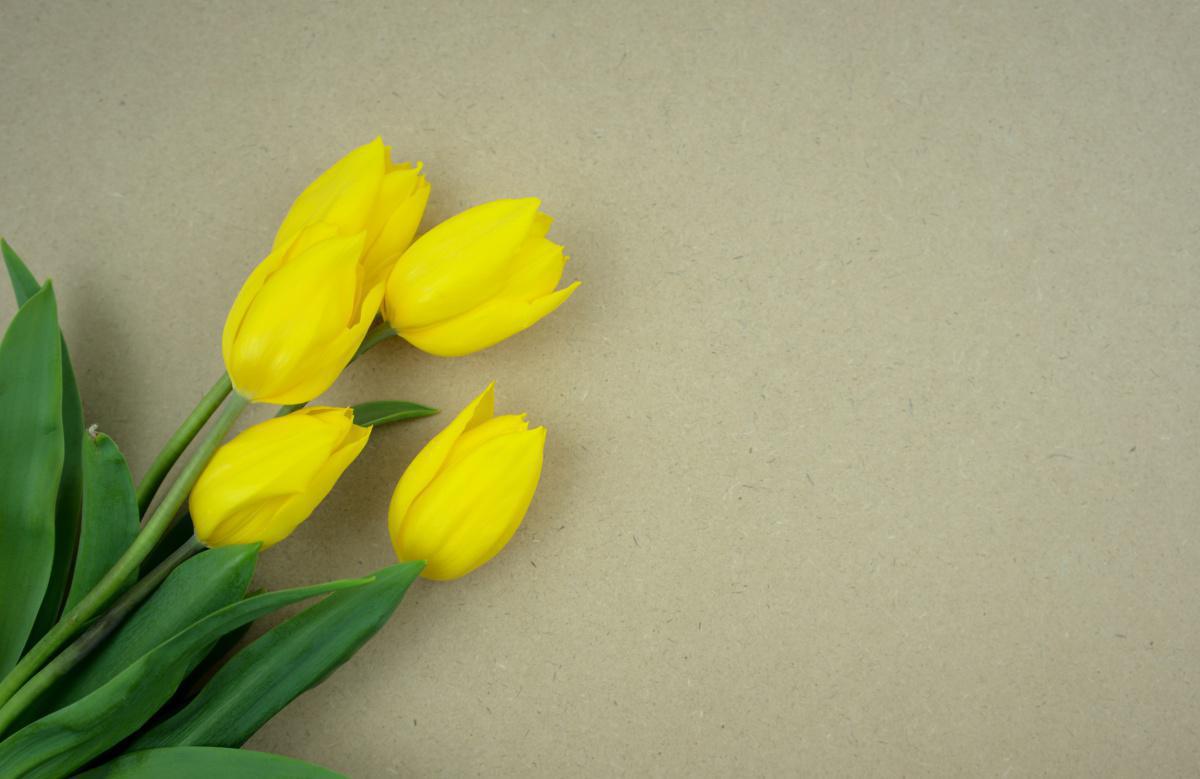 3rd Class School Work 1st of March 2021 3rd Class School Work 1st of March 2021