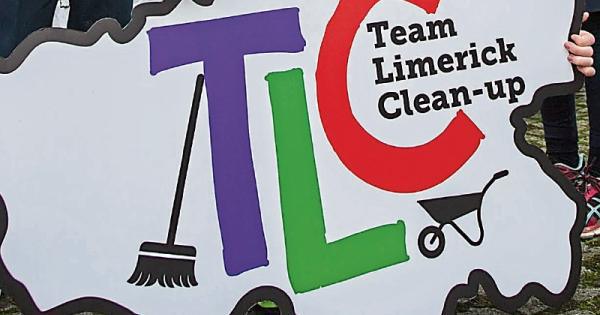  Sixth Class working hard in Team Limerick clean-Up!