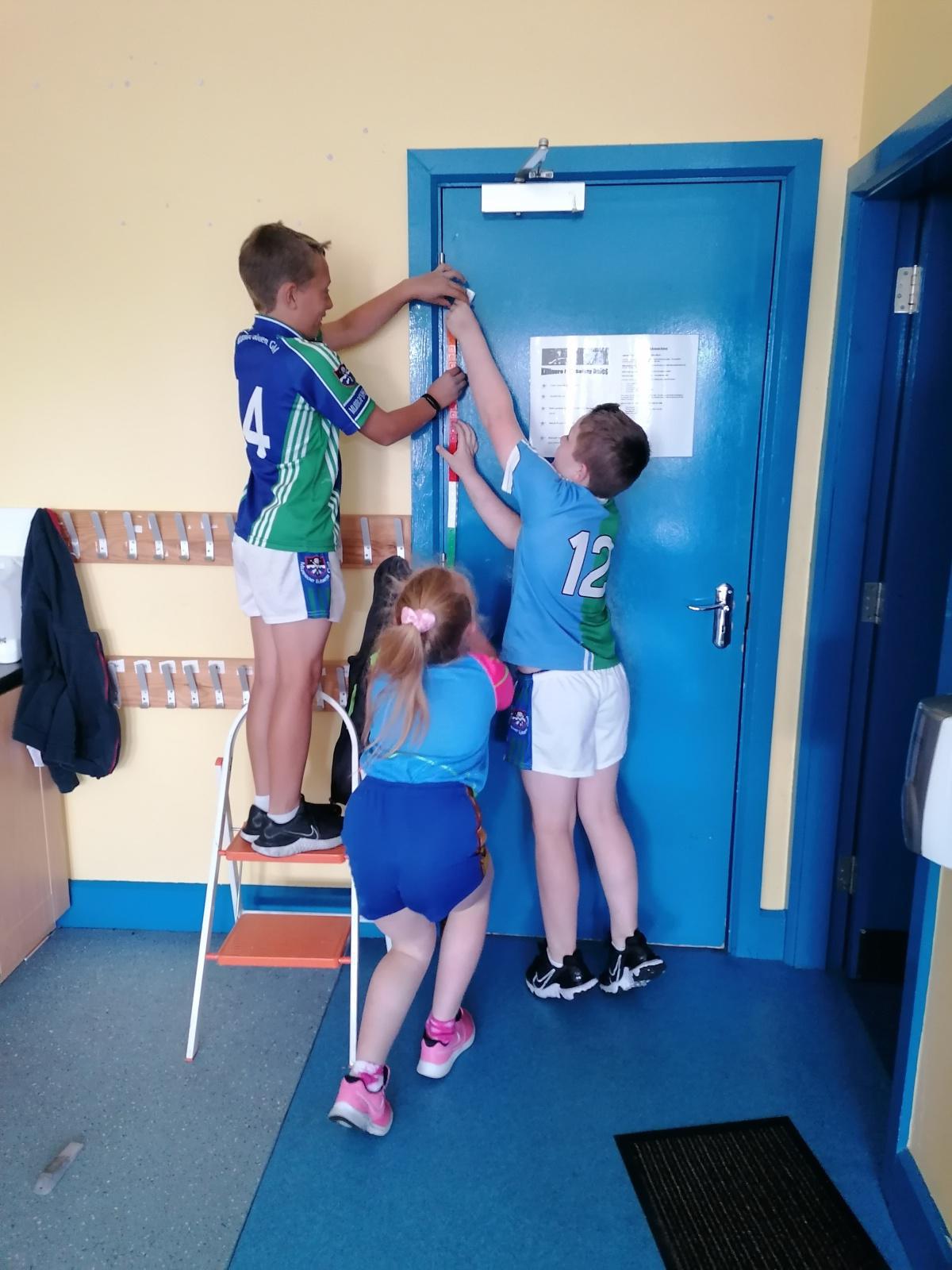 3rd Class Calculating Area