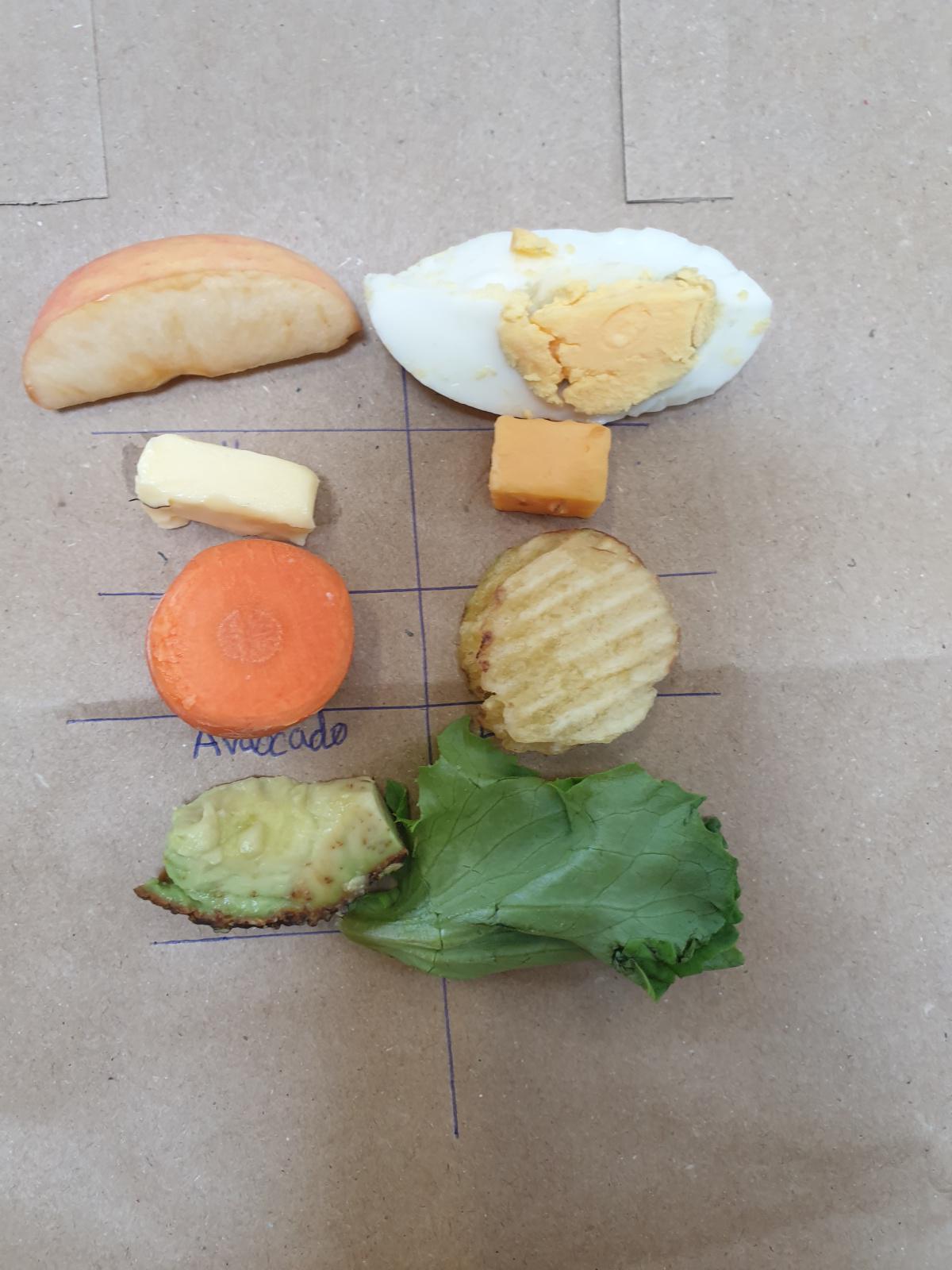 Food Experiment 