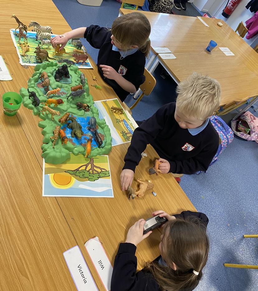 🐒🐘Jungle Explorers 🦁🐯