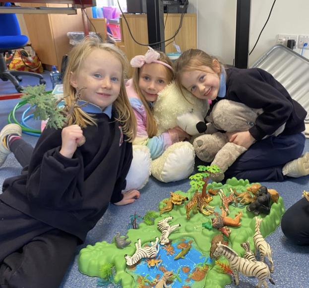 🐒🐘Jungle Explorers 🦁🐯