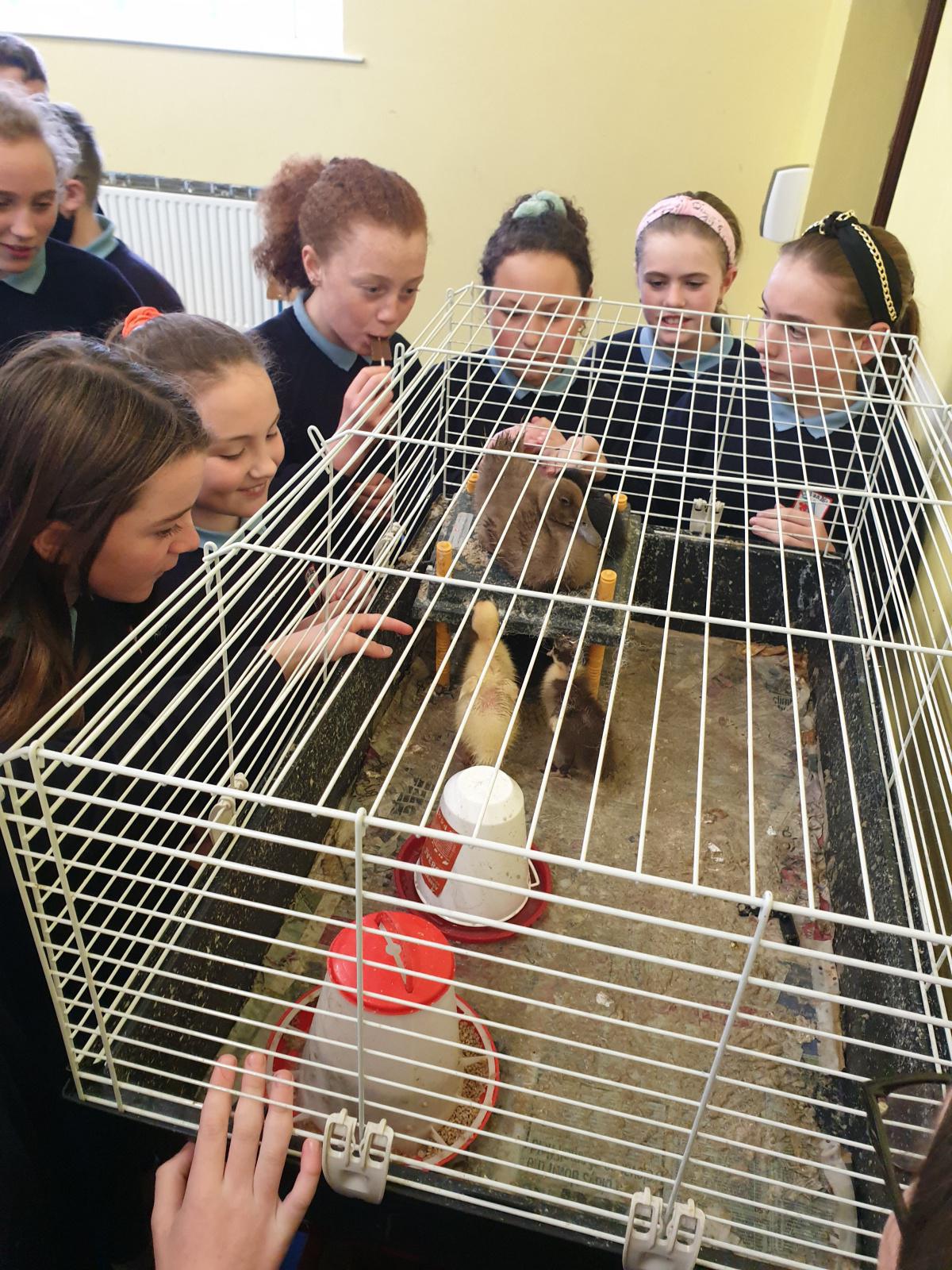 🐥Easter Fun🐥 🐥Easter Fun🐥