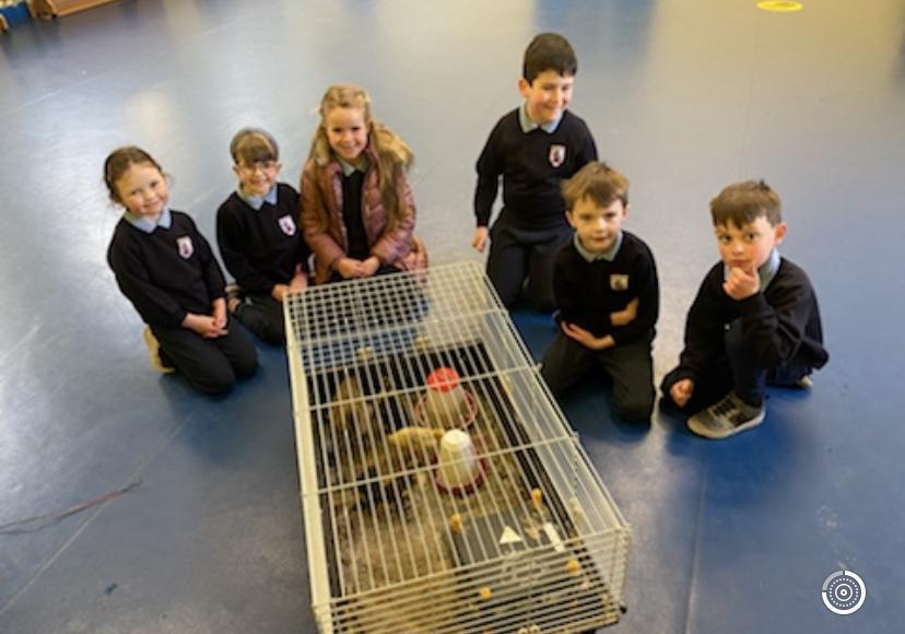 🐣🐣Easter Holidays 🐣🐣