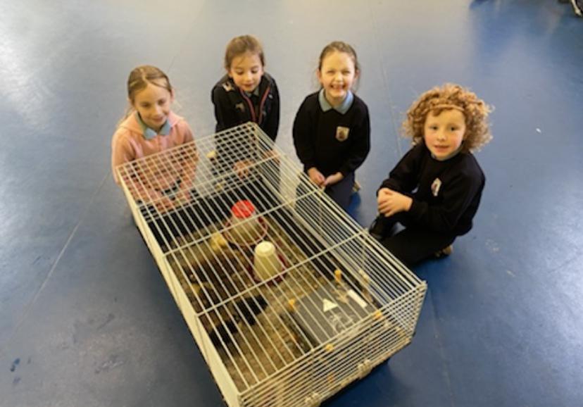 🐣🐣Easter Holidays 🐣🐣