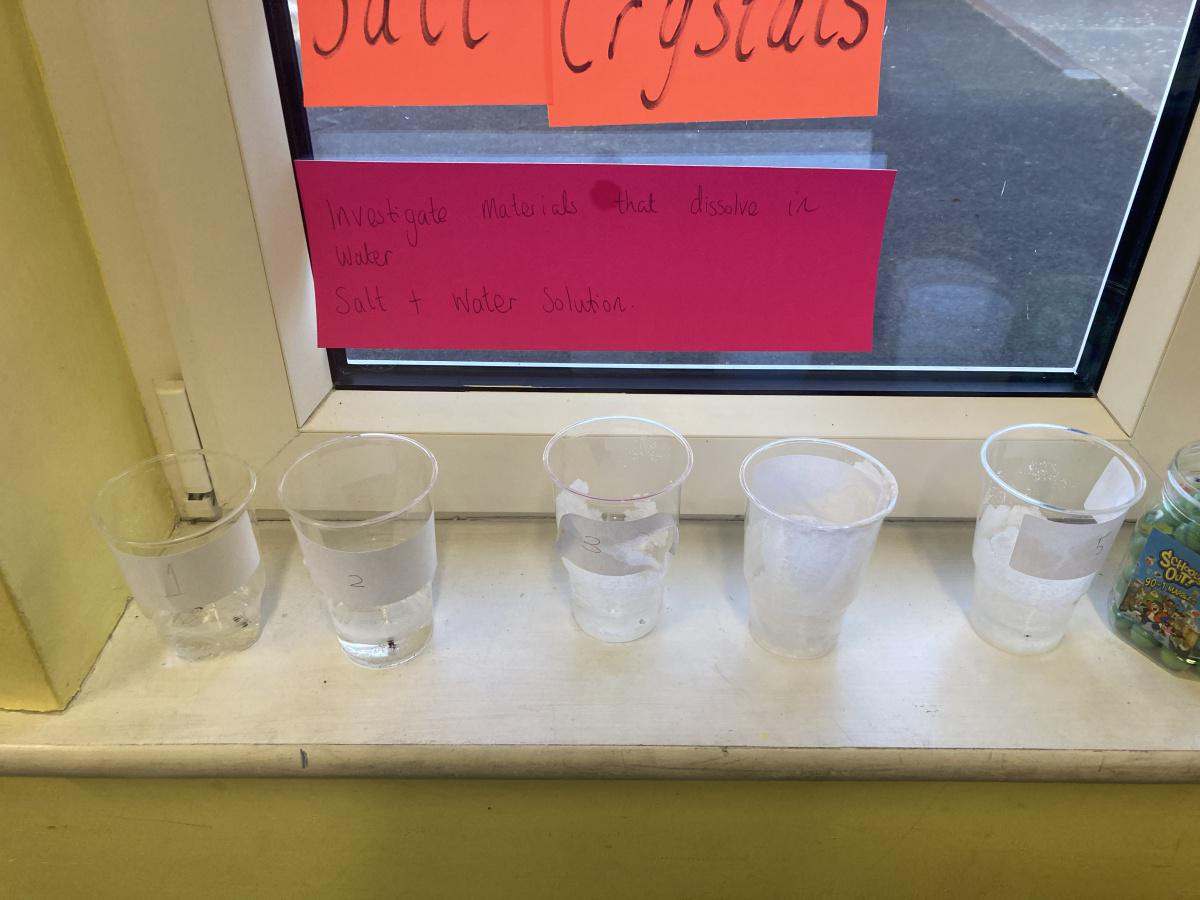 Science Experiments 🧪 🧬 Science Experiments 🧪 🧬