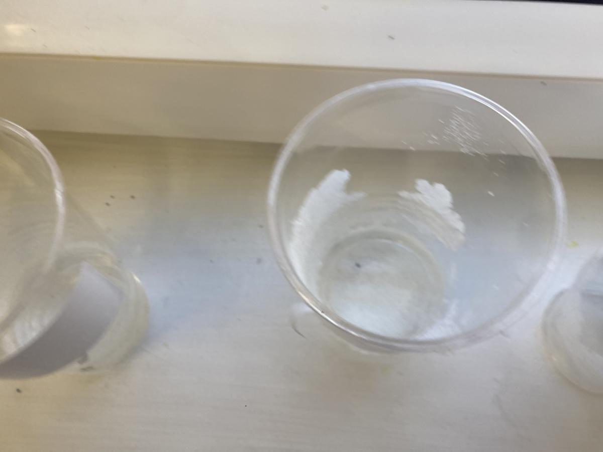 Science Experiments 🧪 🧬 
