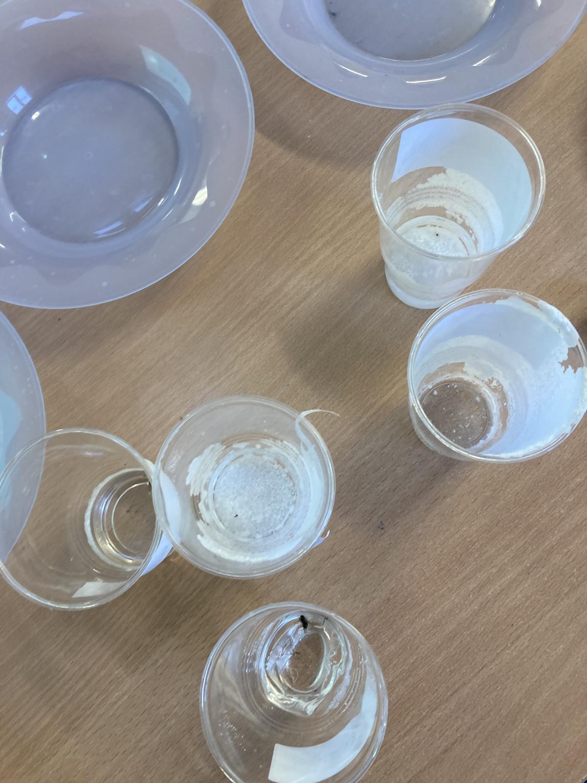 Science Experiments 🧪 🧬 Science Experiments 🧪 🧬