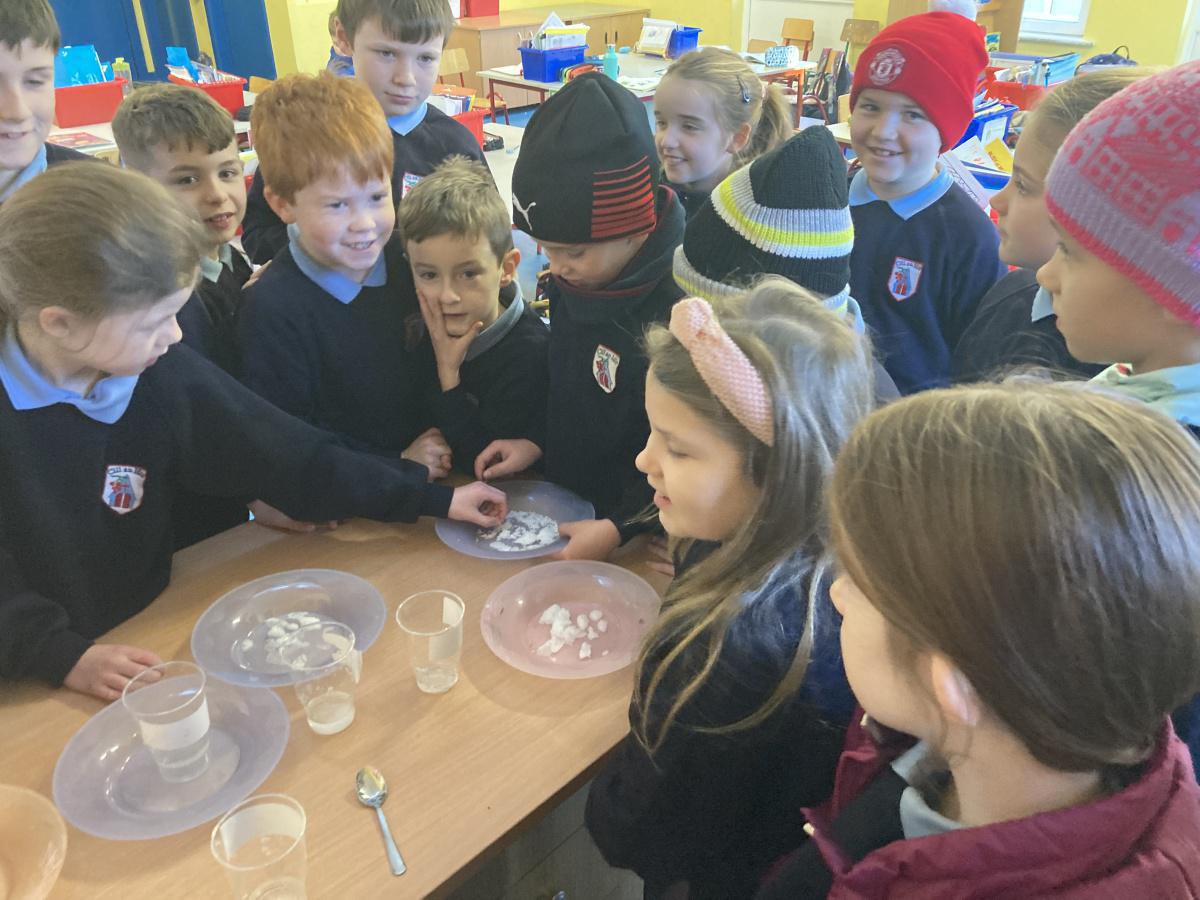 Science Experiments 🧪 🧬 Science Experiments 🧪 🧬