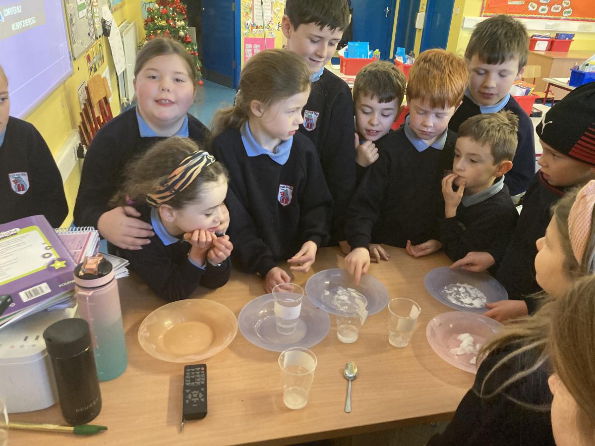 Science Experiments 🧪 🧬 Science Experiments 🧪 🧬