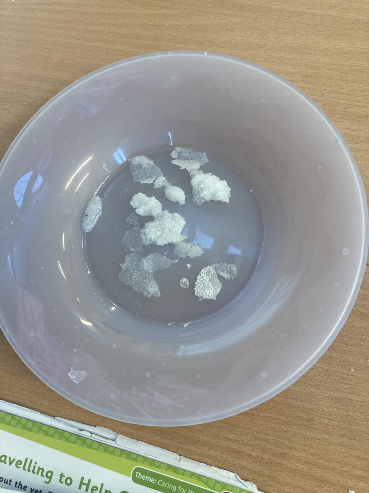 Science Experiments 🧪 🧬 Science Experiments 🧪 🧬