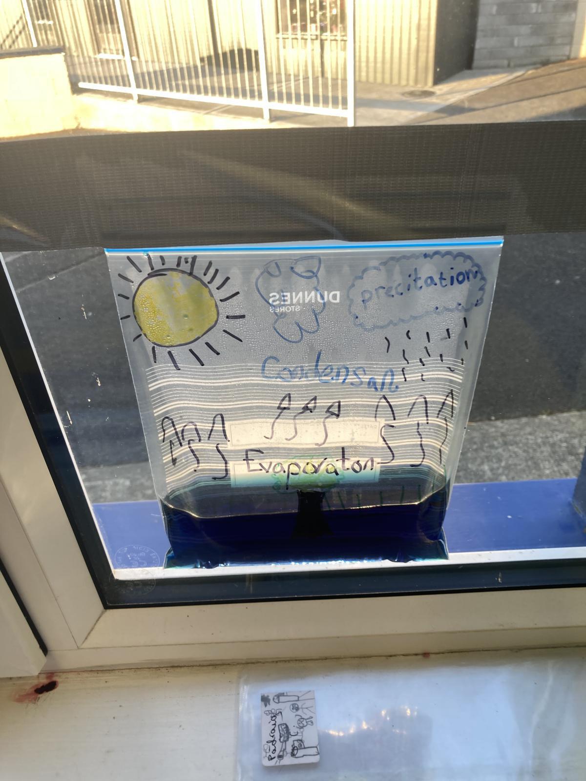 Science Experiments 🧪 🧬 Science Experiments 🧪 🧬