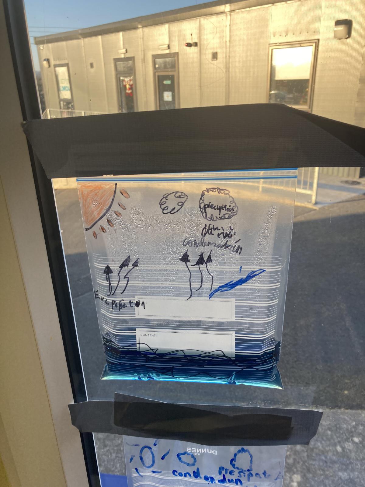 Science Experiments 🧪 🧬 Science Experiments 🧪 🧬