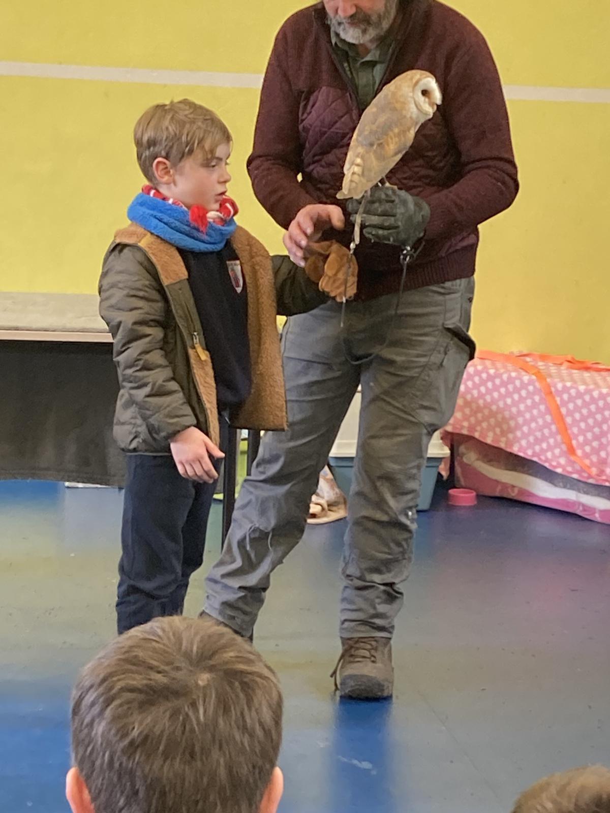 Animal Show 🦉 🦎 🐍 