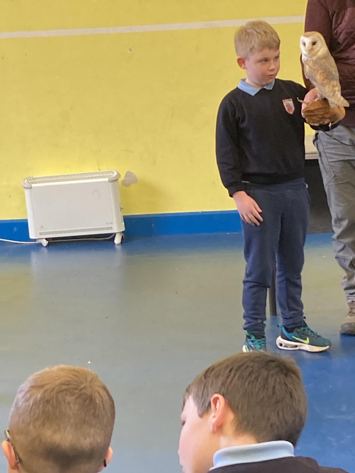 Animal Show 🦉 🦎 🐍 