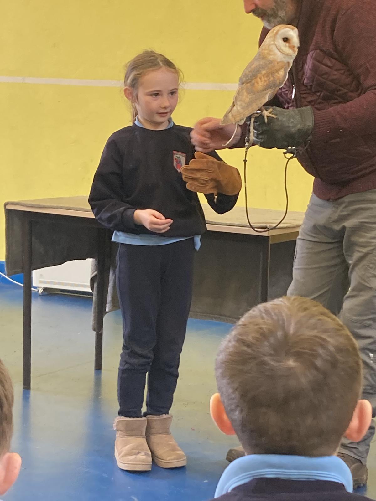Animal Show 🦉 🦎 🐍 