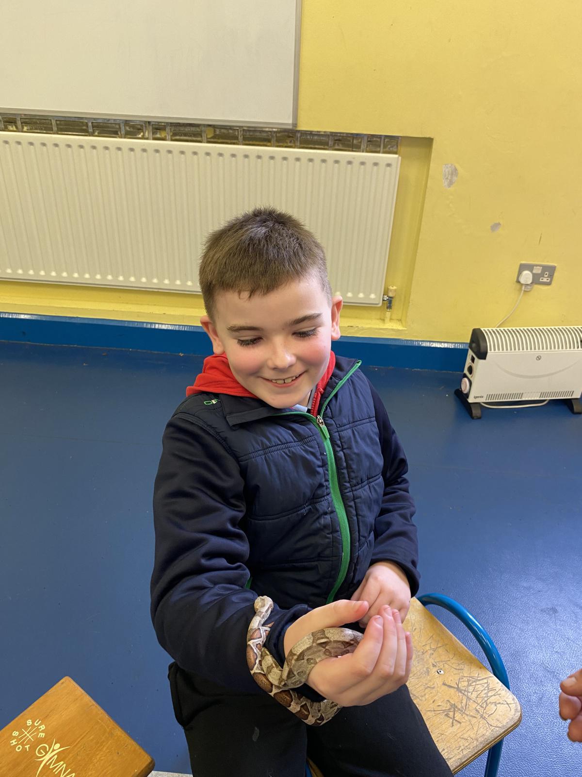 Animal Magic! Animal Magic!