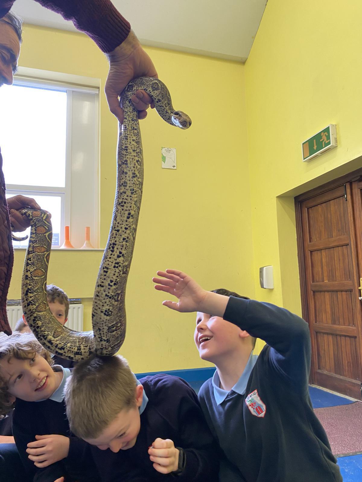 Animal Magic! Animal Magic!