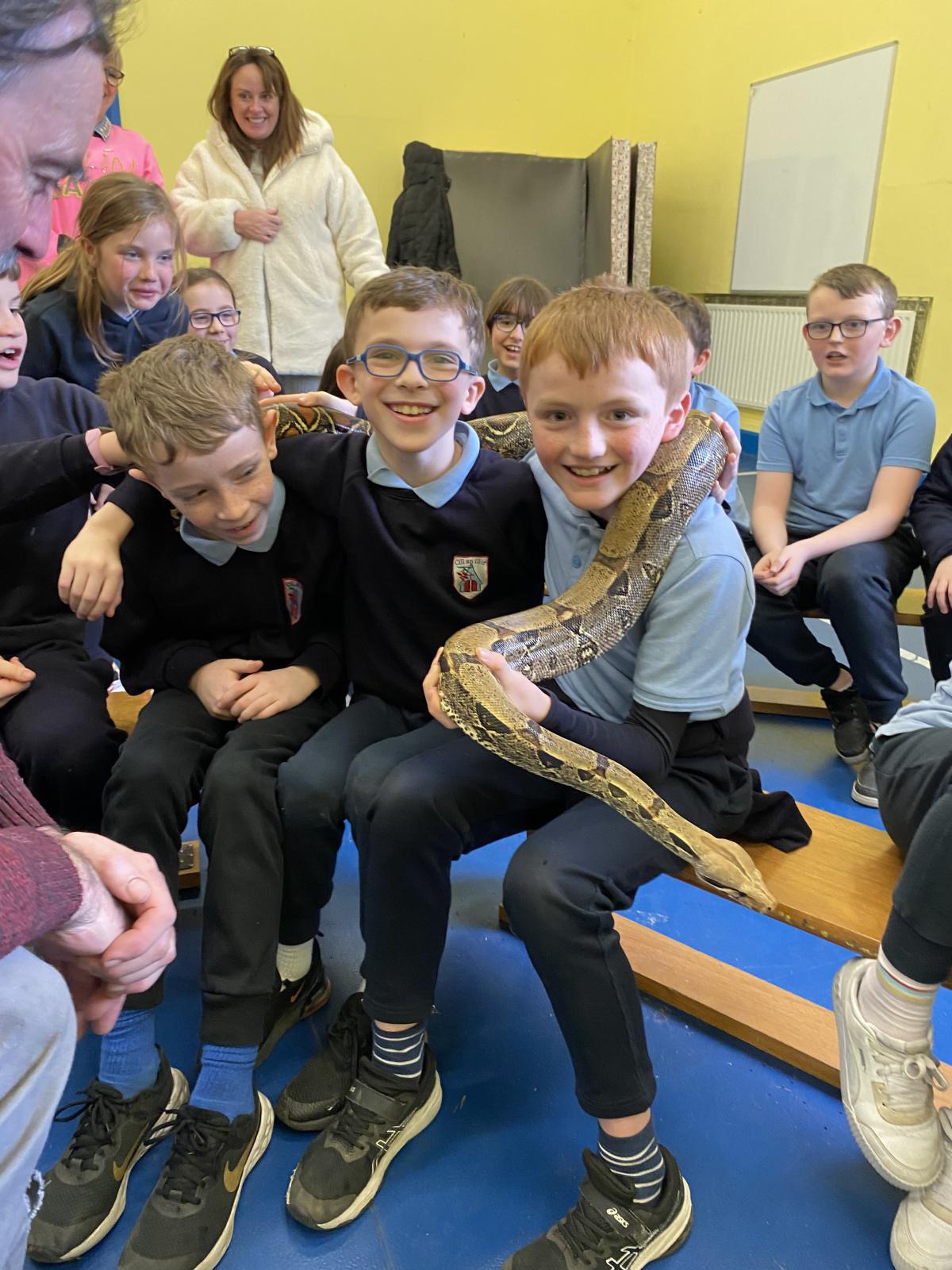 Animal Magic! Animal Magic!