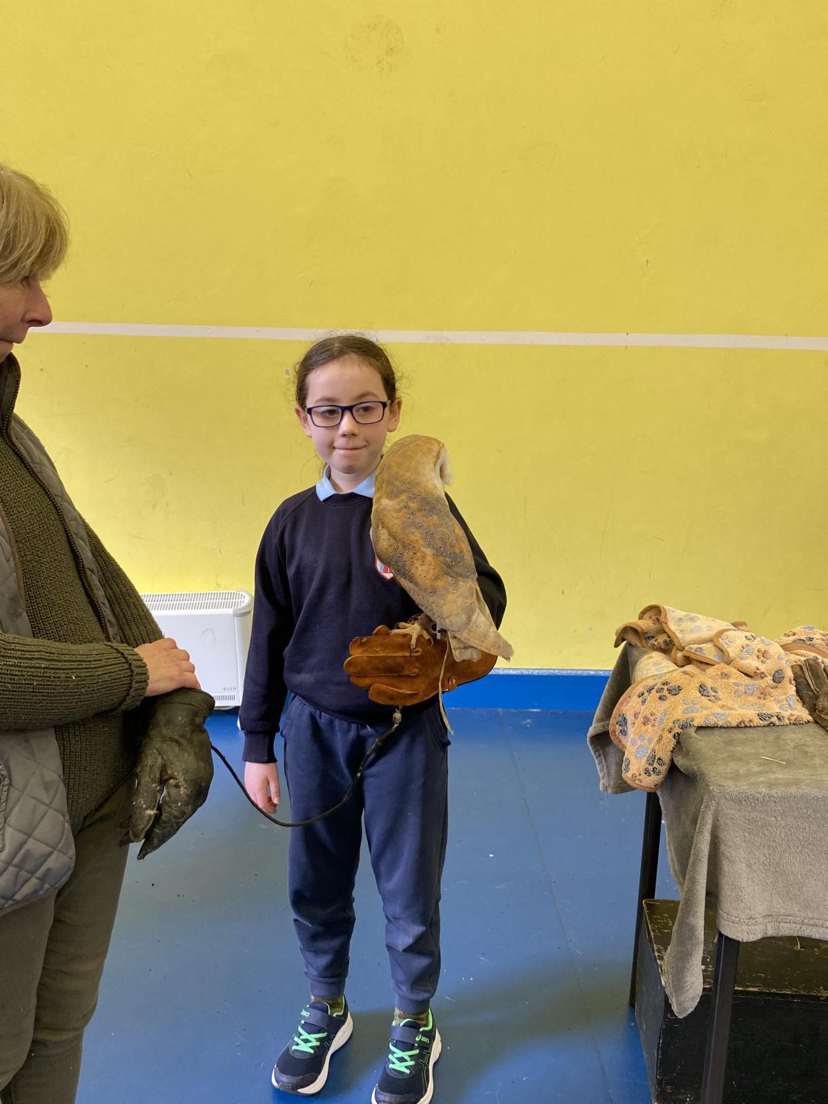 Animal Magic! Animal Magic!