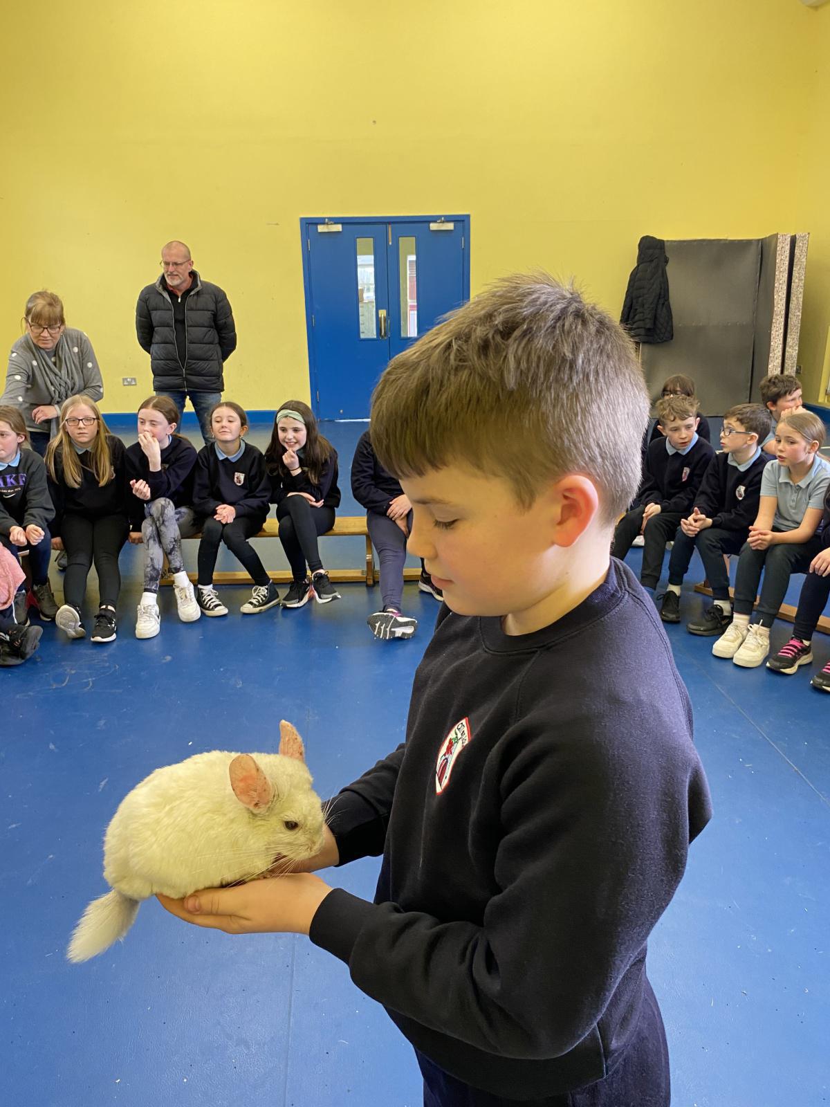 Animal Magic! Animal Magic!