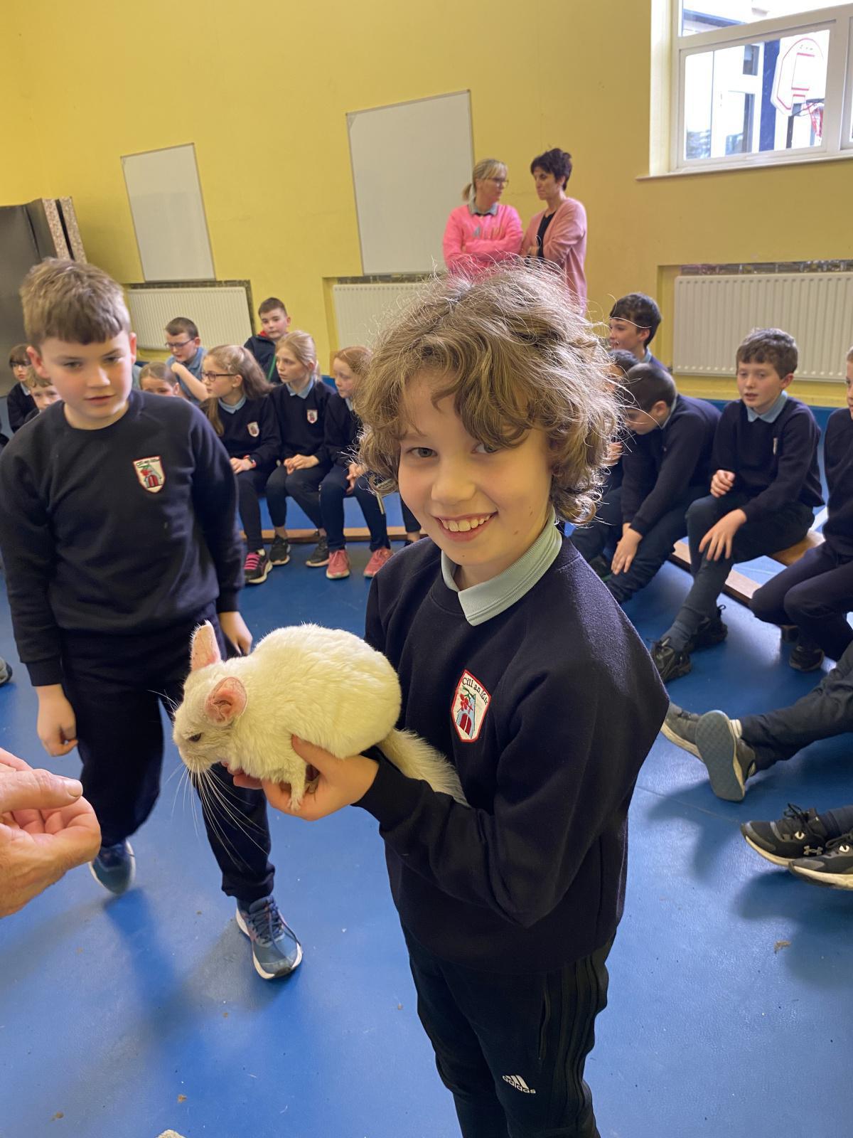 Animal Magic! Animal Magic!