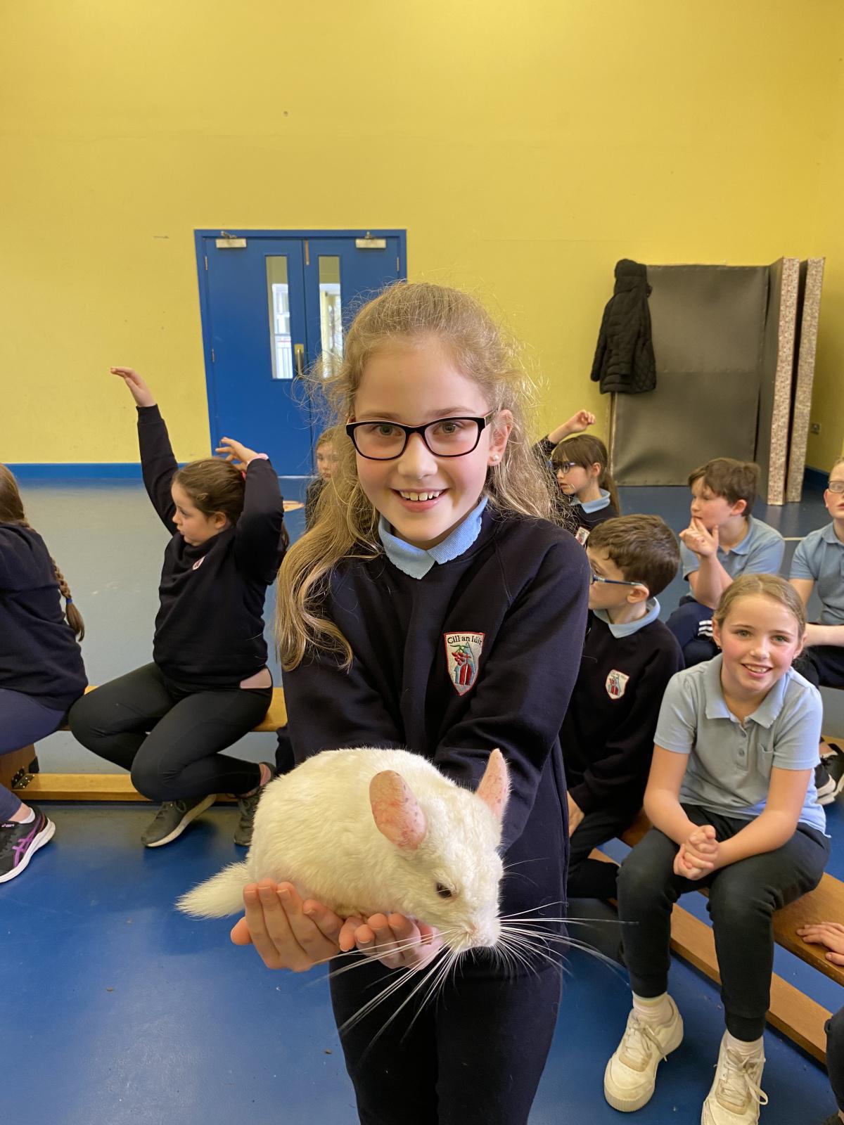 Animal Magic! Animal Magic!