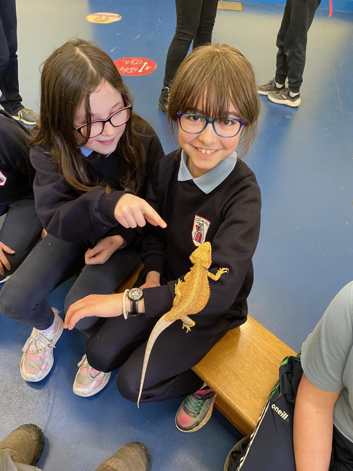 Animal Magic! Animal Magic!