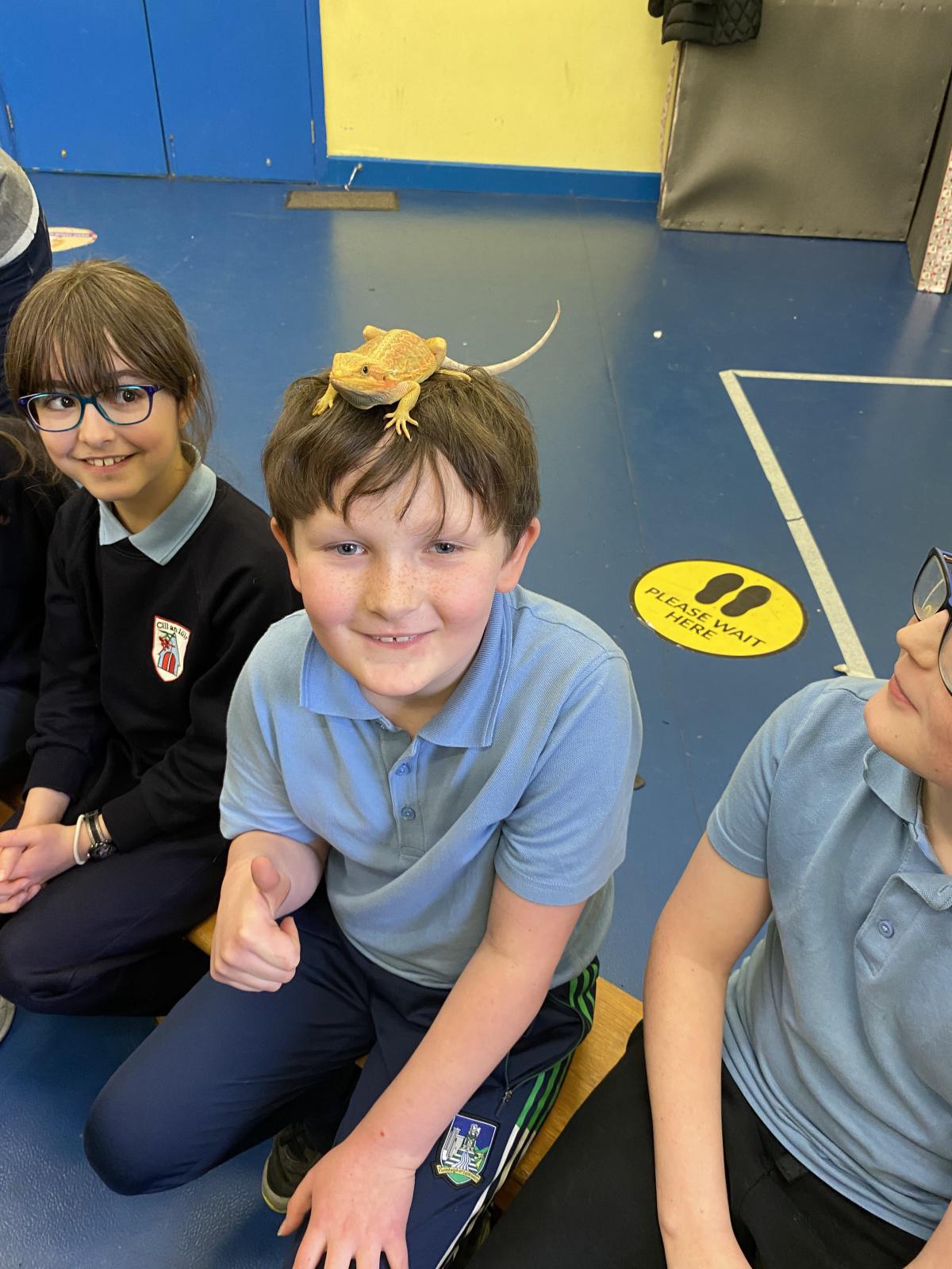 Animal Magic! Animal Magic!