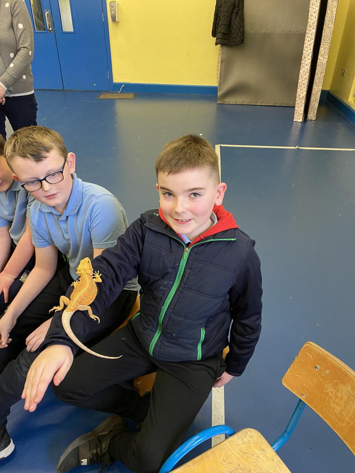 Animal Magic! Animal Magic!