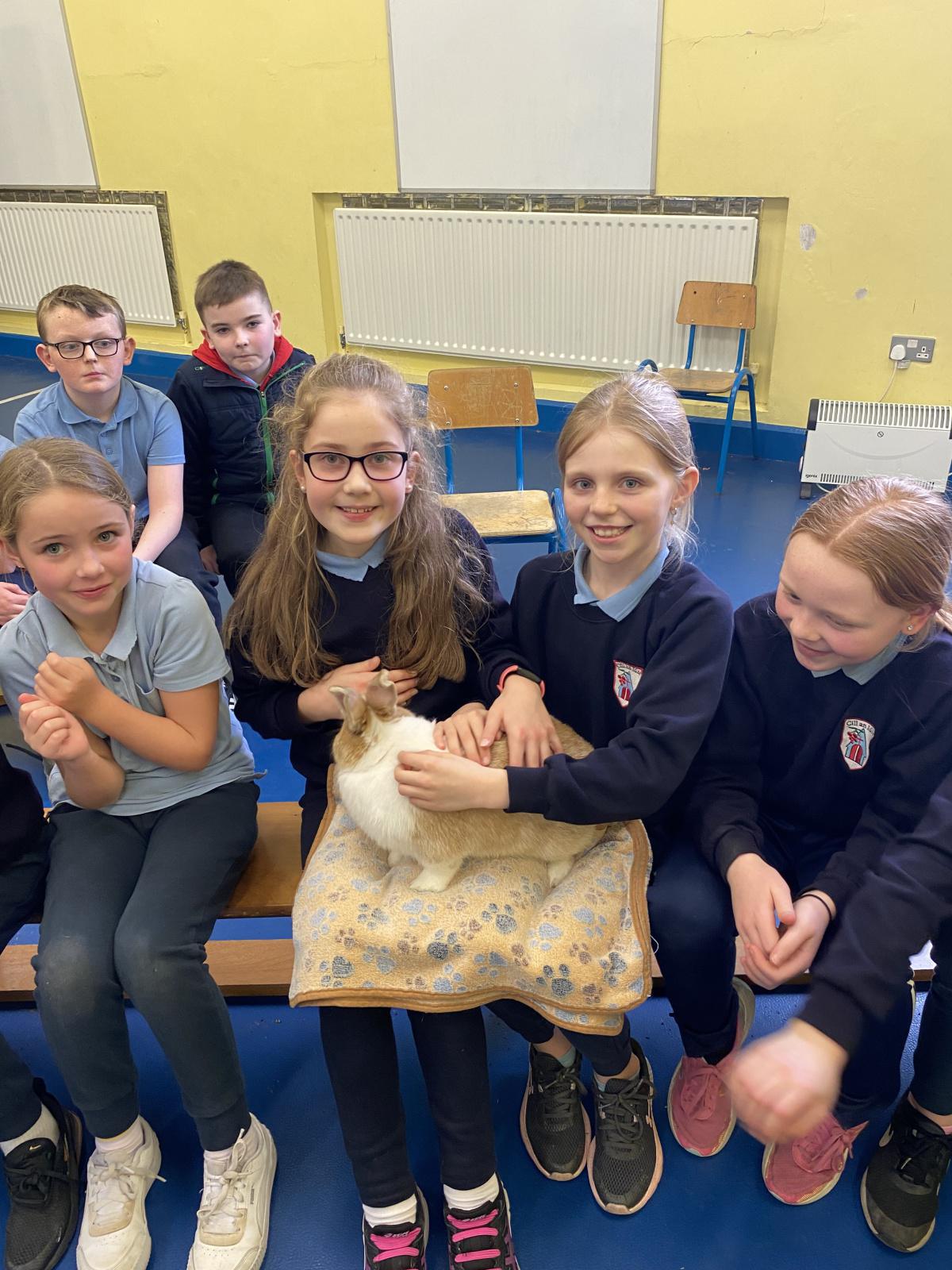 Animal Magic! Animal Magic!