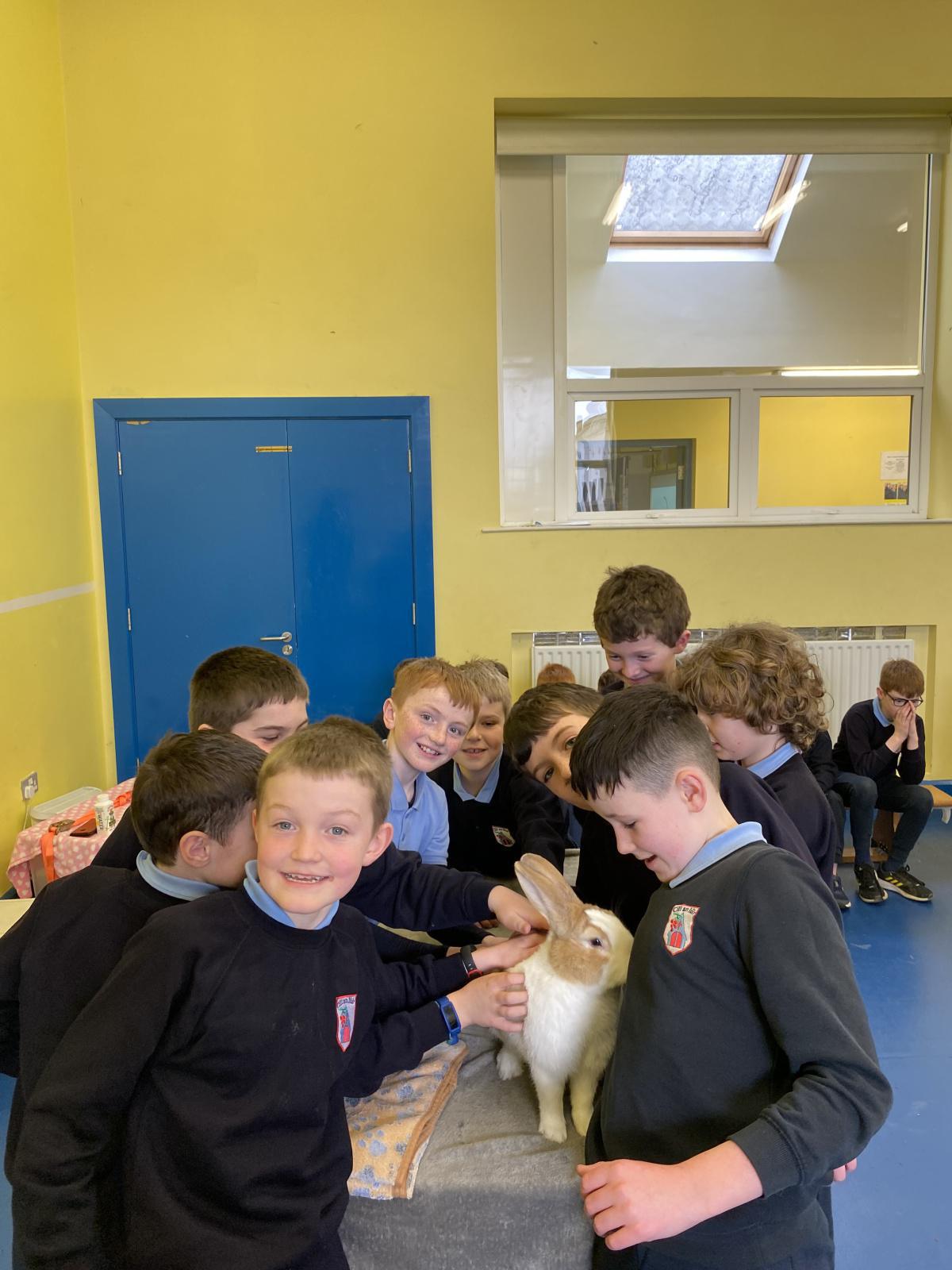 Animal Magic! Animal Magic!