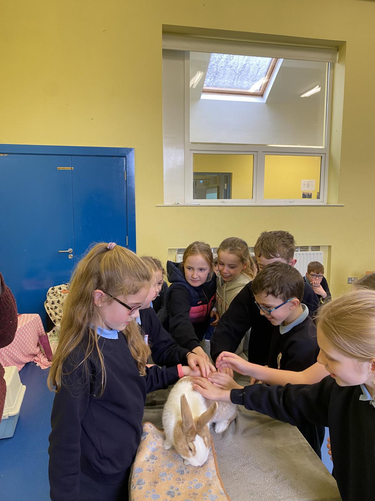 Animal Magic! Animal Magic!