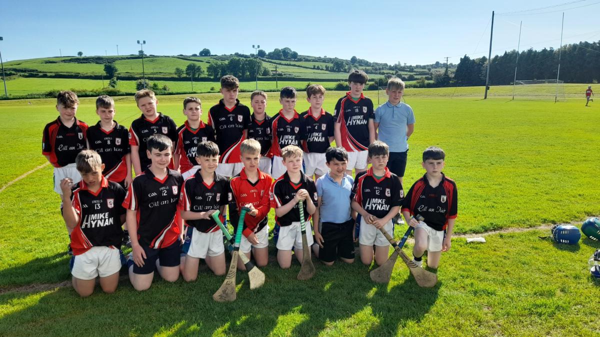 Hurling Final 2023