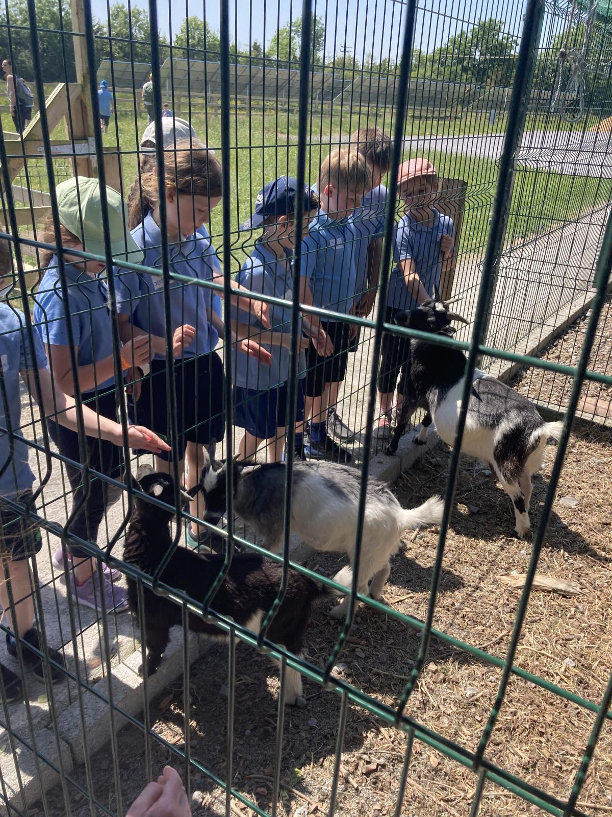 School Tour 2023 🦆⚽️☀️