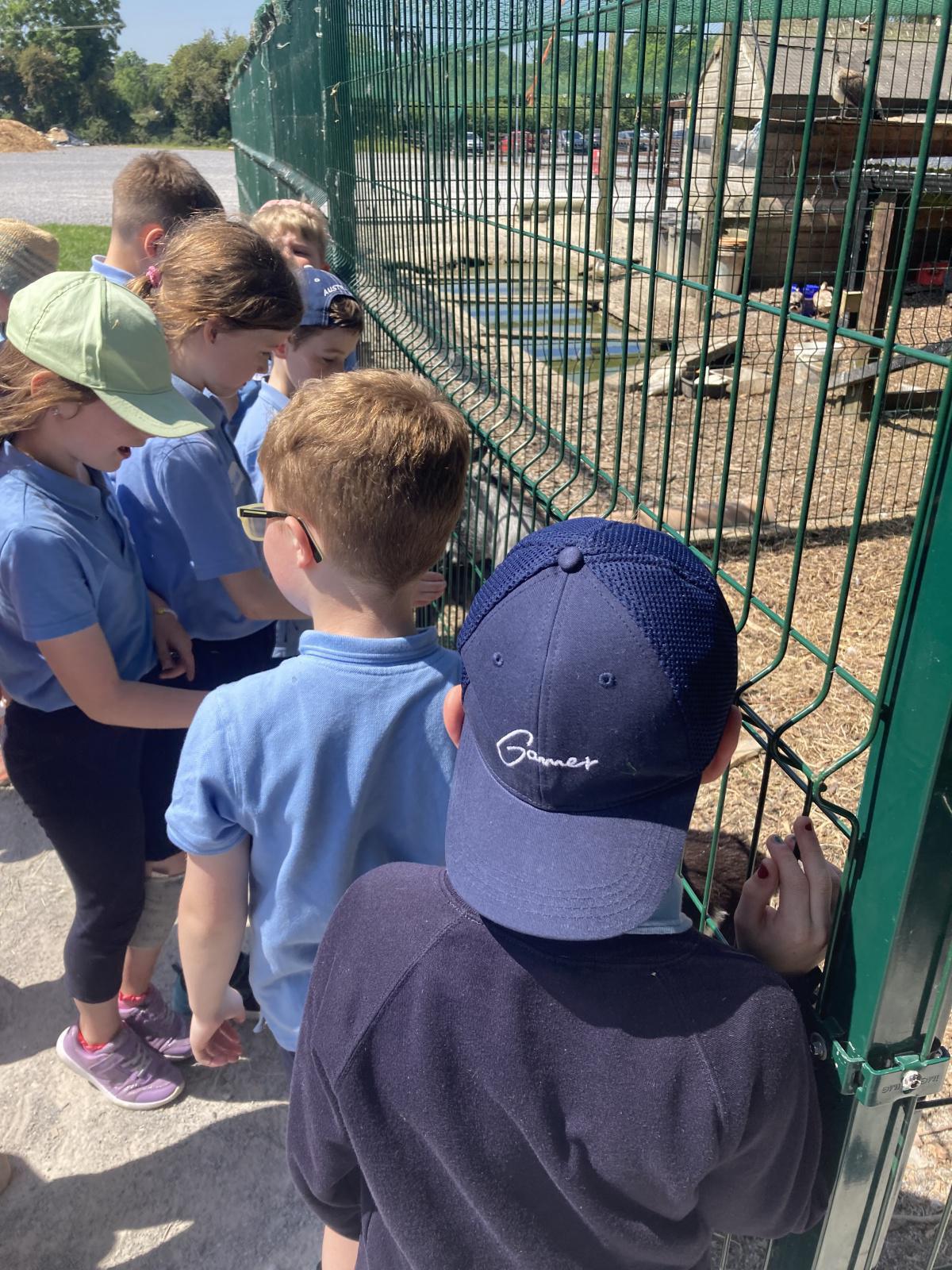 School Tour 2023 🦆⚽️☀️