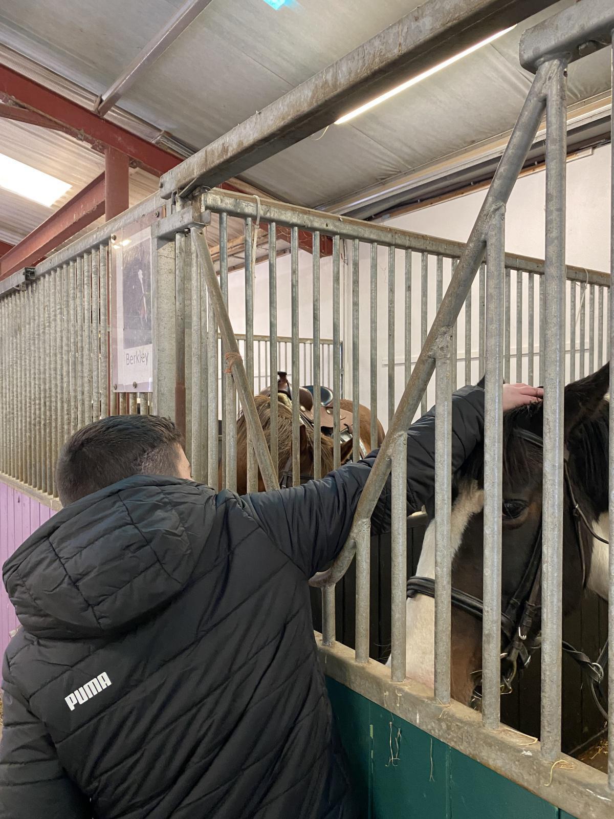 Horse Riding in Liskennett Horse Riding in Liskennett