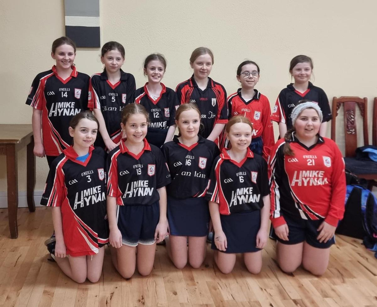 Indoor Hurling and Camogie Teams 