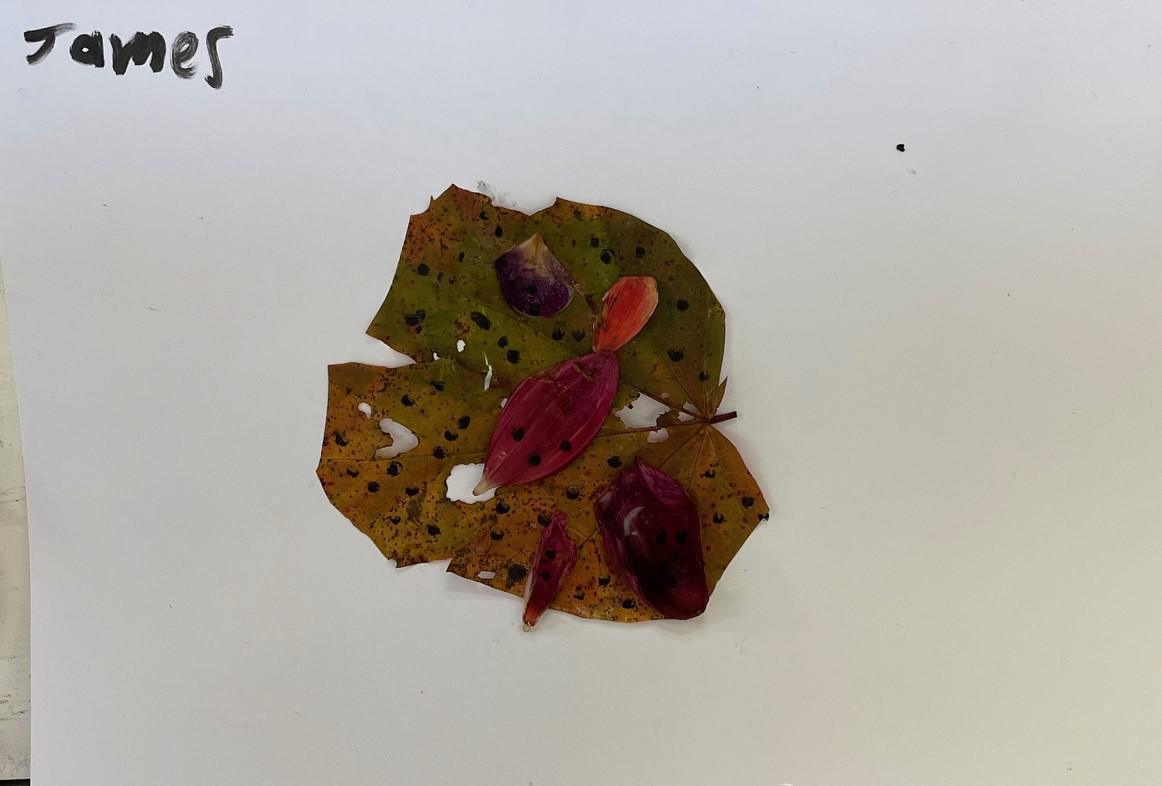 Leaf Art