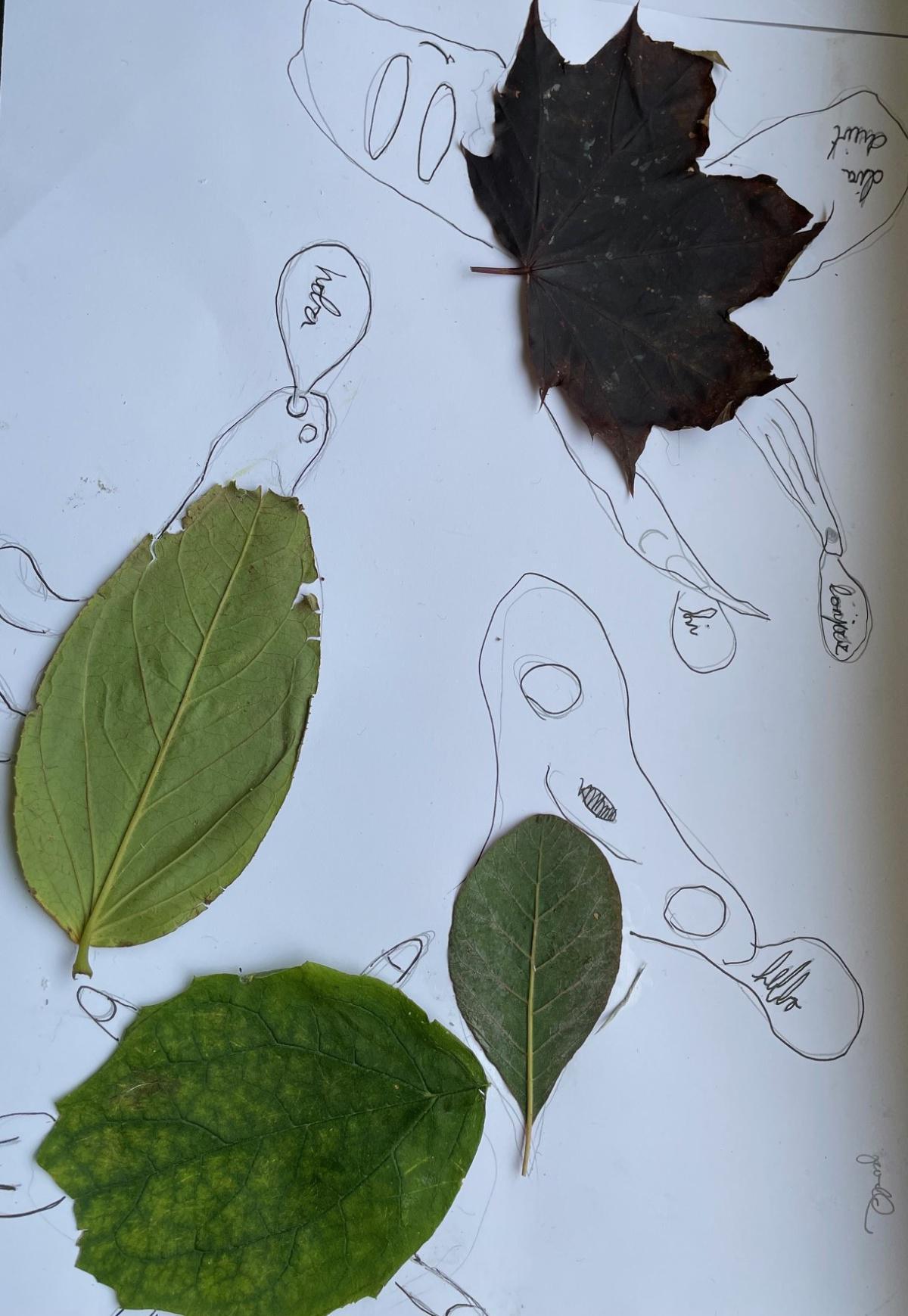 Leaf Art