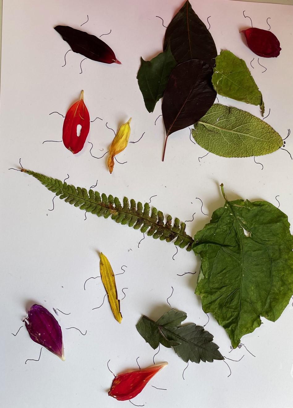 Leaf Art