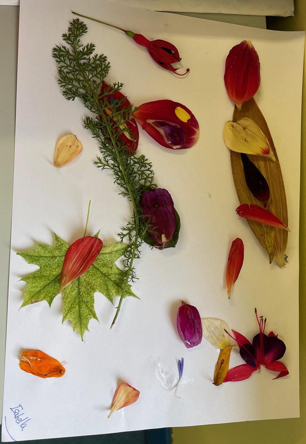 Leaf Art