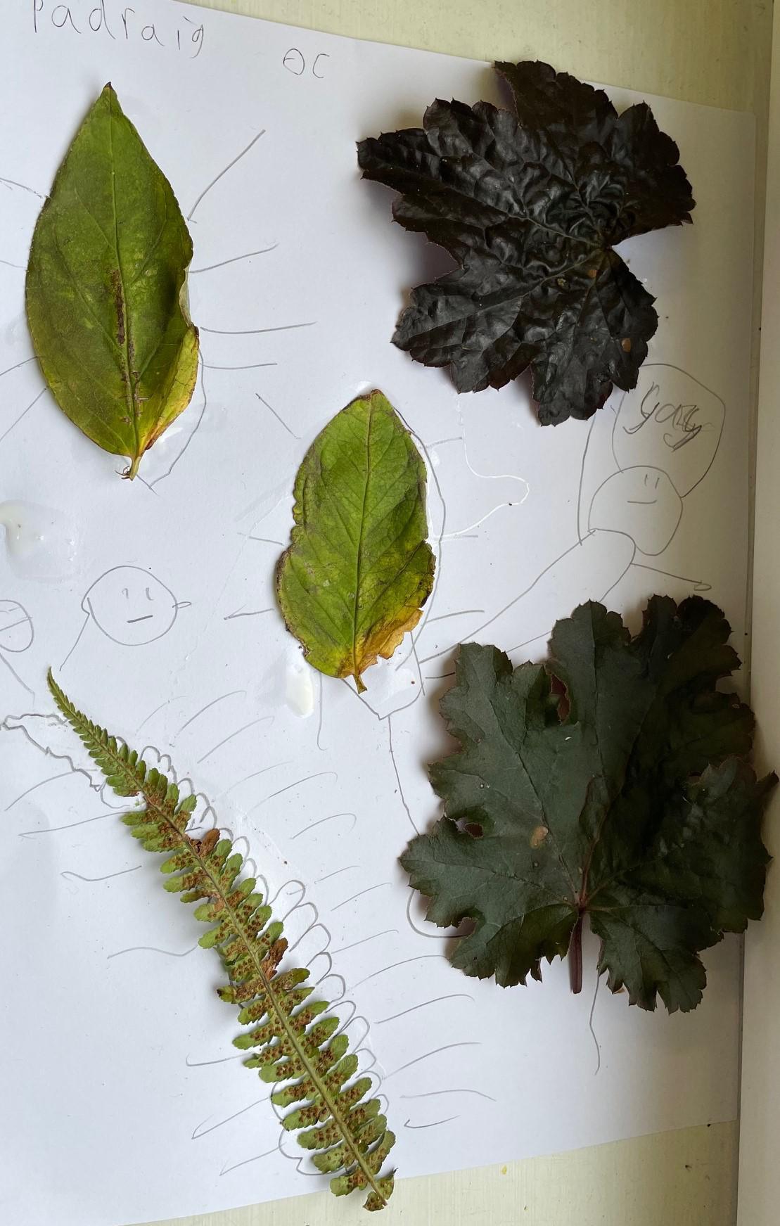 Leaf Art